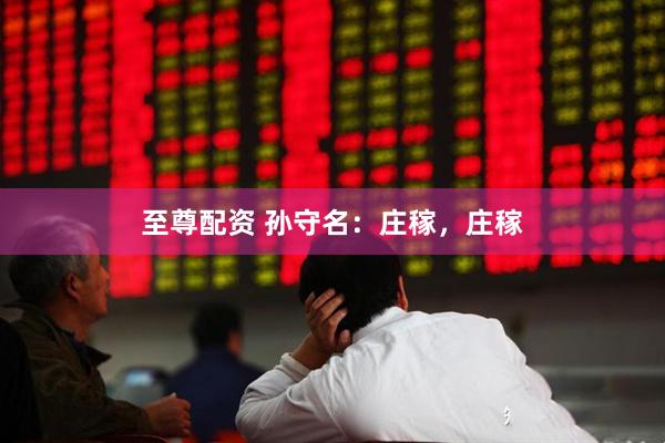 至尊配资 孙守名：庄稼，庄稼